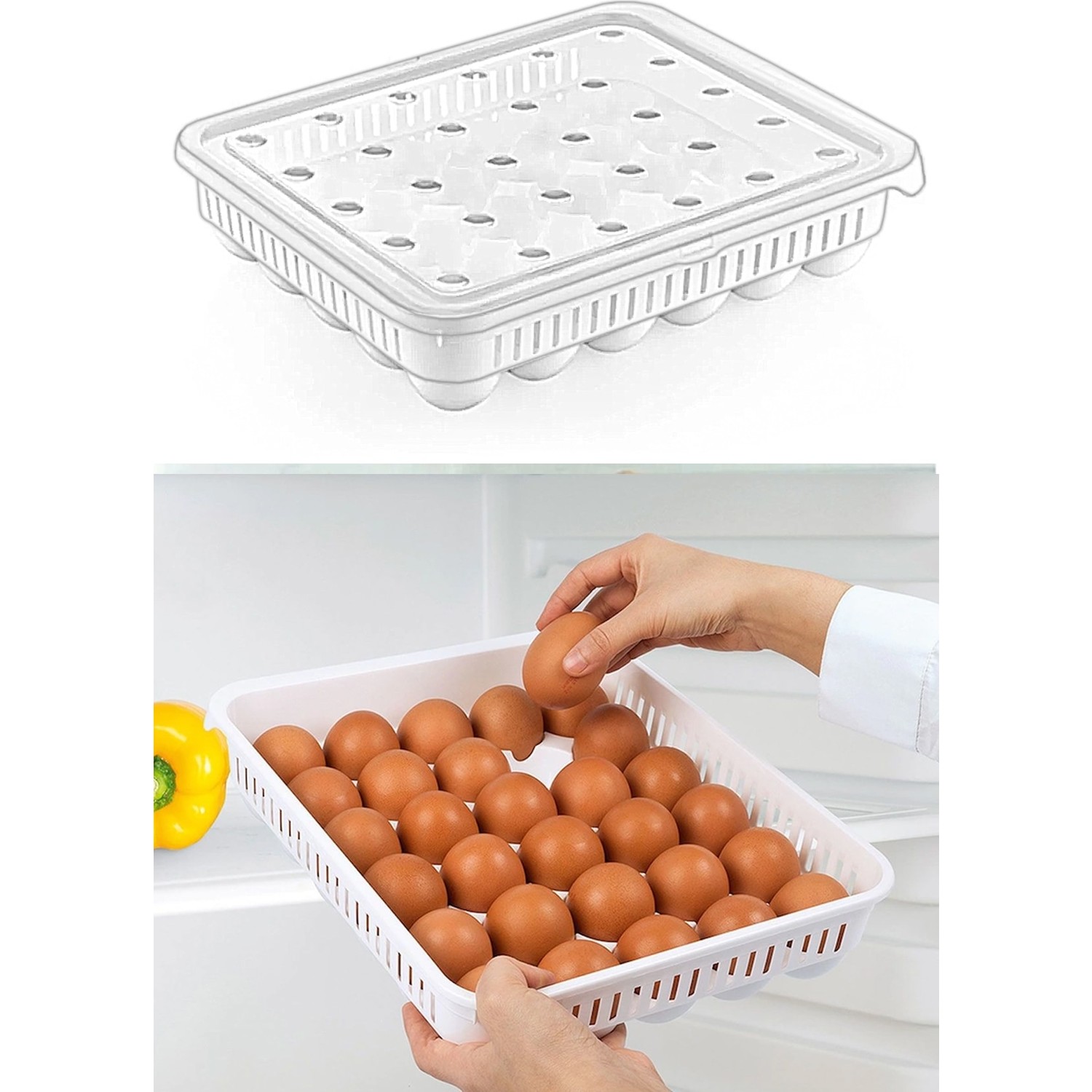 حافظة بيض بلاستيك 30 خانة بغطاء شفاف  beehome AK 681