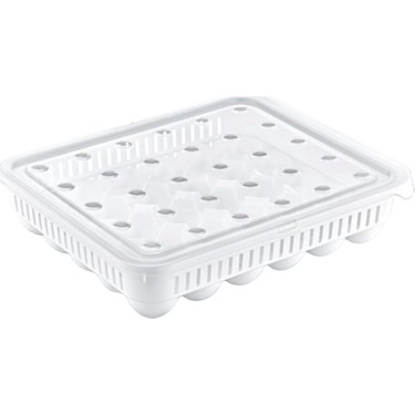 حافظة بيض بلاستيك 30 خانة بغطاء شفاف  beehome AK 681