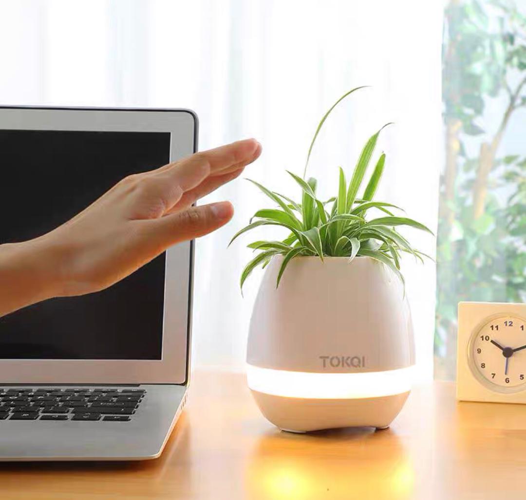 مزهرية بلاستيك مع مشغل موسيقى بلوتوث